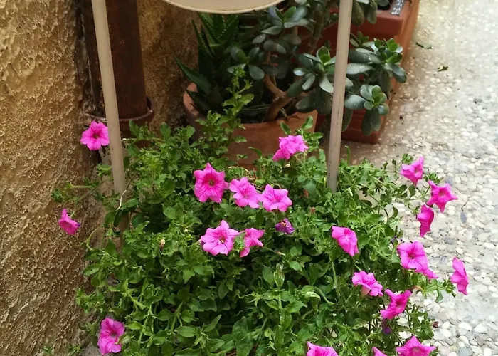 A Sud ゲストハウス